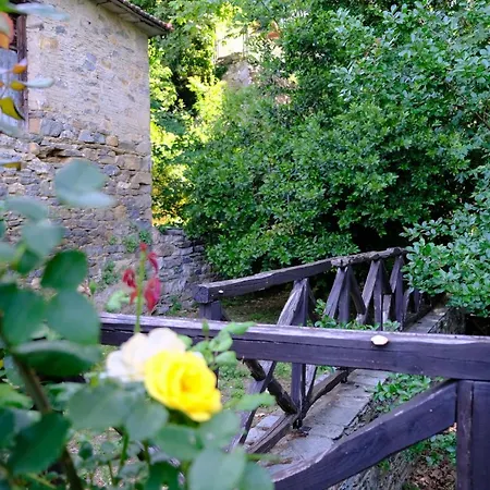Casa de Férias παραδοσιακό πηλιορείτικο αρχοντικό στη βυζίτσα- Traditional In Vizitsa, Pelion *