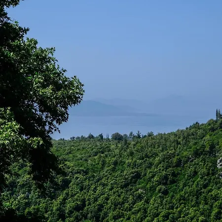 Casa de Férias παραδοσιακό πηλιορείτικο αρχοντικό στη βυζίτσα- Traditional In Vizitsa, Pelion Vizitsa