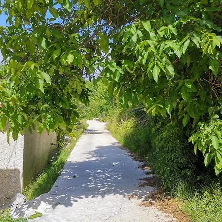 Holiday home παραδοσιακό αρχοντικό βυζίτσας: πηλιορείτικη φιλοξενία Vizitsa
