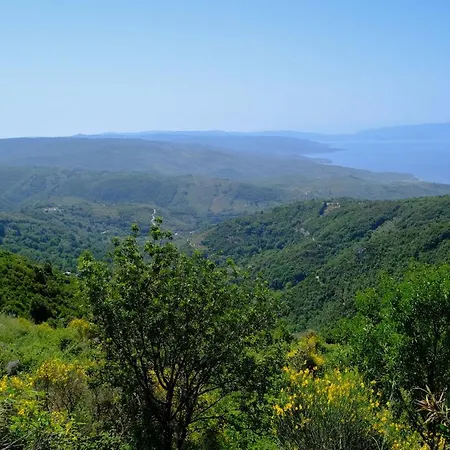 Casa de Férias παραδοσιακό πηλιορείτικο αρχοντικό στη βυζίτσα- Traditional In Vizitsa, Pelion *