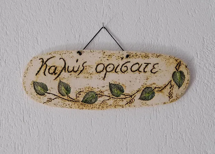 παραδοσιακό πηλιορείτικο αρχοντικό στη βυζίτσα- Traditional In Vizitsa, Pelion Case de vacanță *